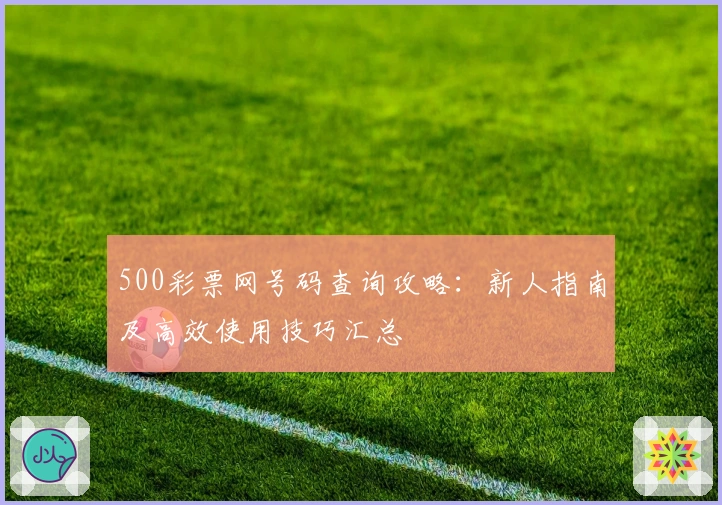 500彩票网号码查询攻略:新人指南及高效使用技巧汇总
