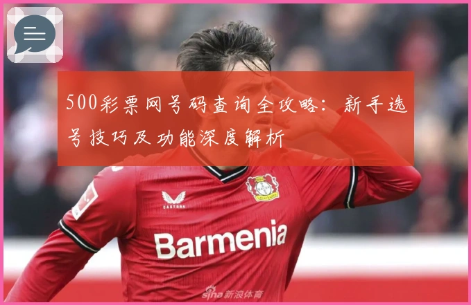 500彩票网号码查询全攻略：新手选号技巧及功能深度解析